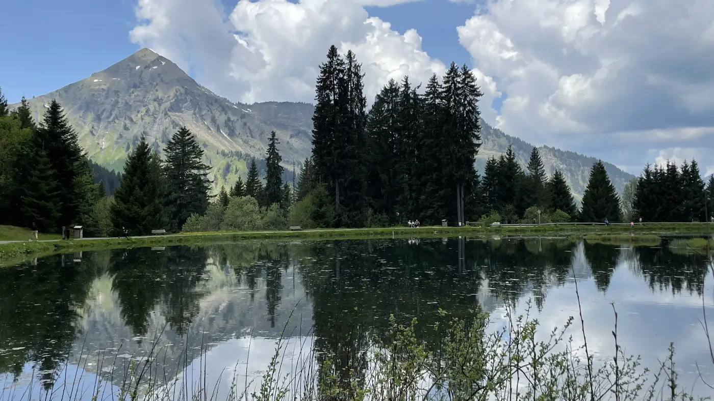 Lake and mountains in France